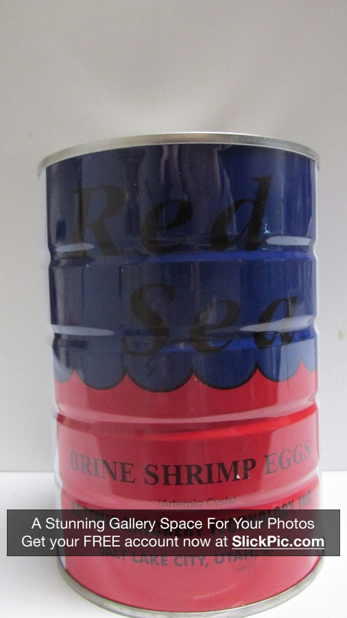 Red Sea Brine Shrimp Eggs