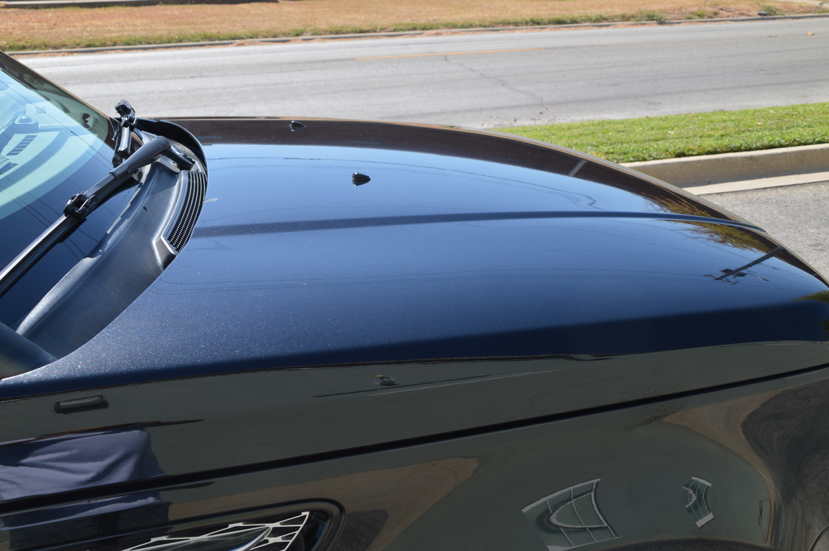 DSC_8344