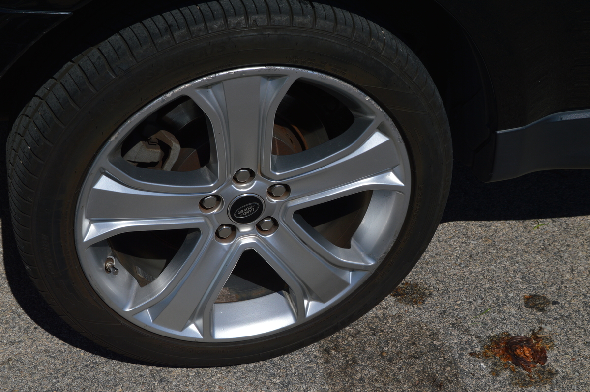 DSC_8390